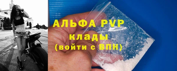 PSILOCYBIN Ельня