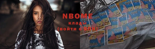 PSILOCYBIN Ельня