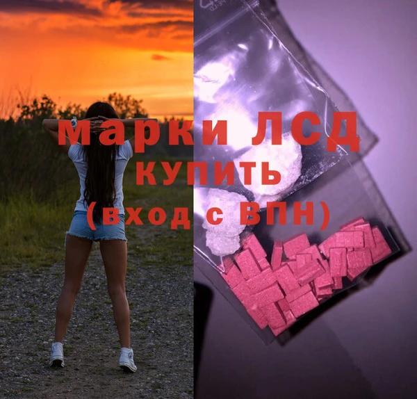 прущие крисы Елизово