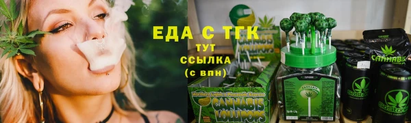 PSILOCYBIN Ельня