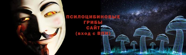 PSILOCYBIN Ельня