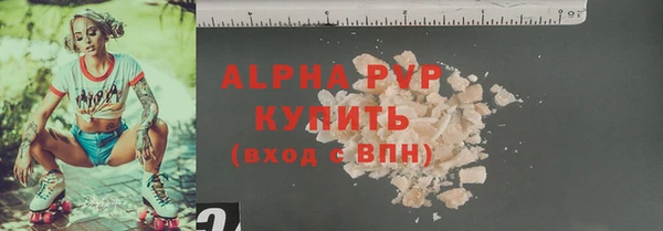 PSILOCYBIN Ельня