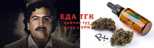 PSILOCYBIN Ельня