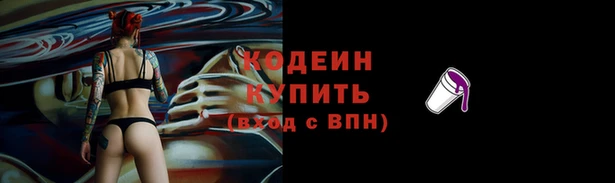 PSILOCYBIN Ельня