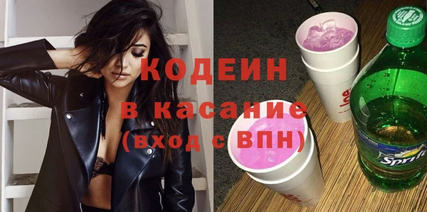 PSILOCYBIN Ельня