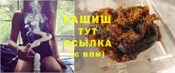 PSILOCYBIN Ельня