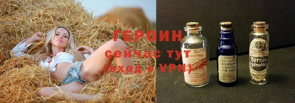 PSILOCYBIN Ельня
