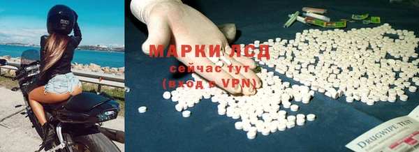 PSILOCYBIN Ельня