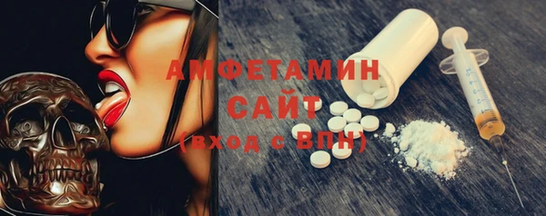 PSILOCYBIN Ельня