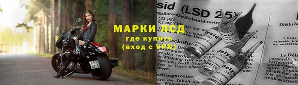 PSILOCYBIN Ельня