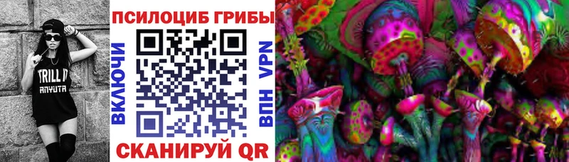 Псилоцибиновые грибы Psilocybine cubensis  Купить  Лермонтов 