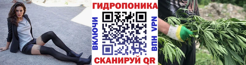 Конопля план  Купить закладки  Лермонтов 